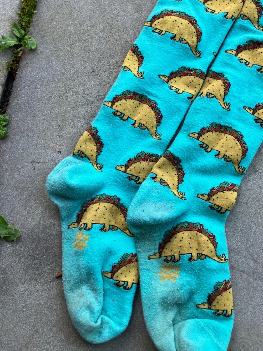 The Unbranded Brand 🌮 adorable